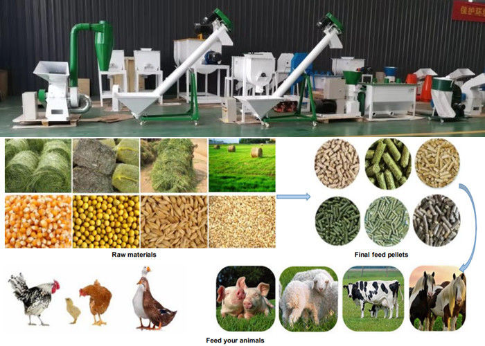 Small Feed Factory Animal Feed Production Line 2mm - 12mm Pellet Size